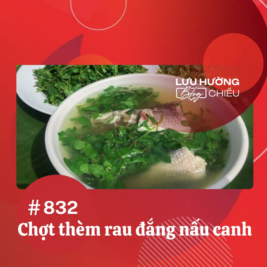 Chợt thèm rau đắng nấu canh